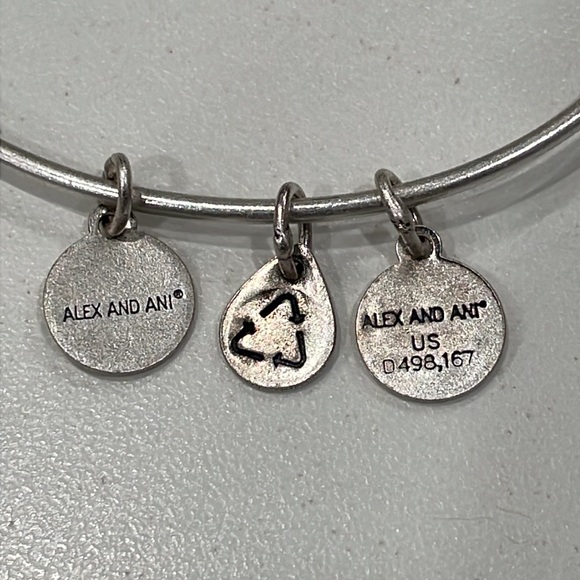 Path of Life - Picture 4 of 7